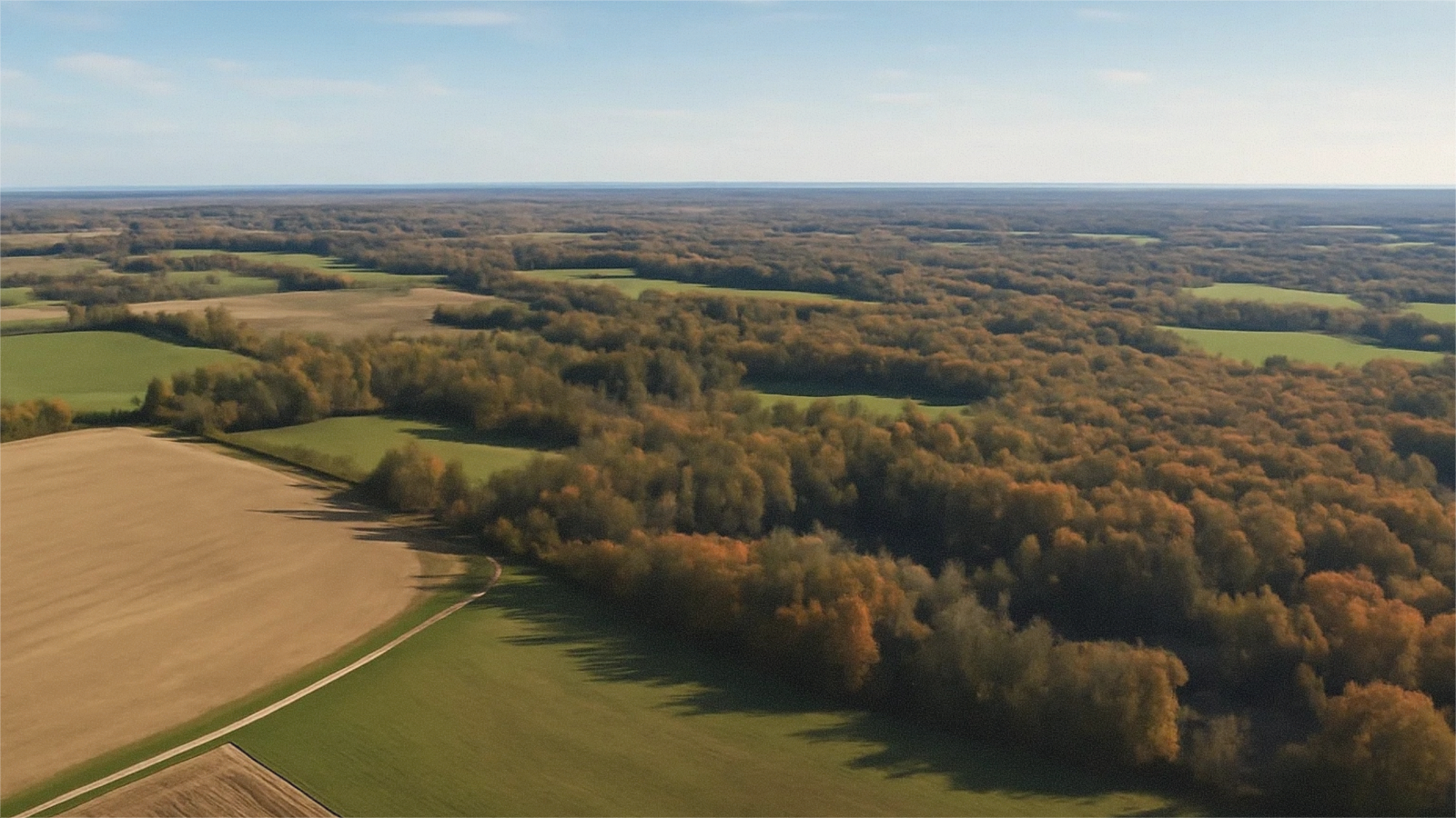 Open Michigan land access road near Chippewa County