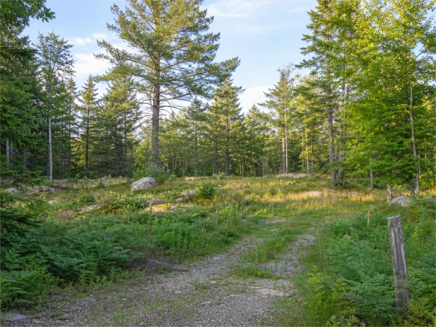 Rural Access Parcels in Chippewa County